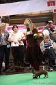 Crufts2011_2 1589